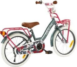 2Cycle Desire Kinderfiets - 18 Inch - Voordrager - Grijs - Meisjesfiets 8 2Cycle Desire Kinderfiets - 18 Inch - Voordrager - Grijs - Meisjesfiets -Fietsen Kortingswinkel 1200x1049 5