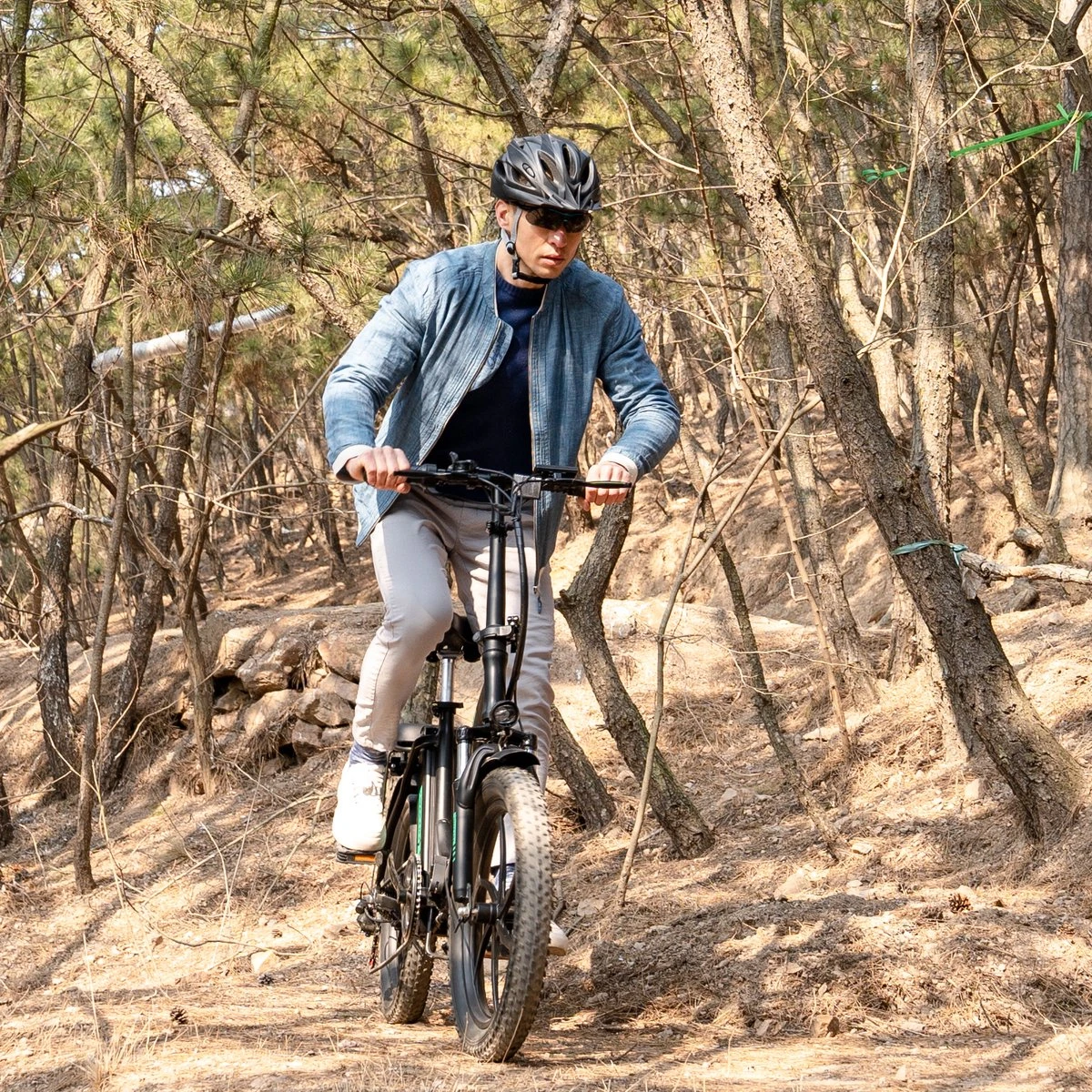 HITWAY Elektrische Fiets - E-Bike - 11,2Ah - 250 W - 20 Inch Fatbike 5 HITWAY Elektrische Fiets - E-Bike - 11,2Ah - 250 W - 20 Inch Fatbike - Afbeelding 5