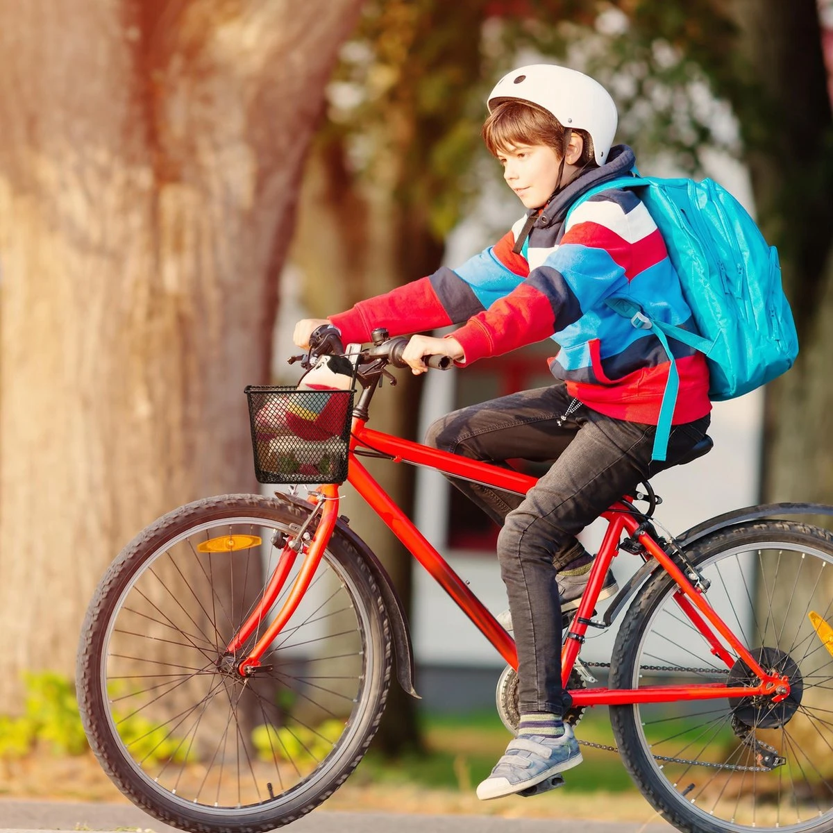 Relaxdays Fietsmand Stuur - Fietsmandje Met Haken - Fiets Mand Voorop - Klein - Metaal - Zwart 5 Relaxdays Fietsmand Stuur - Fietsmandje Met Haken - Fiets Mand Voorop - Klein - Metaal - Zwart - Afbeelding 5