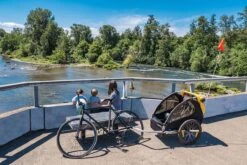 Burley Bee Double Kinderfietskar - Twee Kinderen -Fietsen Kortingswinkel 1200x800 139