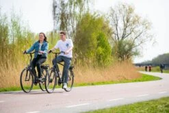 Amigo E-Vibe D1 - Elektrische Stadsfiets Voor Heren - Met 7 Versnellingen - Matgrijs 9 Amigo E-Vibe D1 - Elektrische Stadsfiets Voor Heren - Met 7 Versnellingen - Matgrijs -Fietsen Kortingswinkel 1200x800 194
