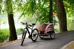 Fietskar Voor Kinderen - Met Buggyfunctie - En Schokbrekers - Rood -Fietsen Kortingswinkel 1200x801 26