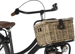 Fastrider Sera Rotan Fietsmand - Naturel - 8L - Handgemaakt - Met Klep -Fietsen Kortingswinkel 1200x871 1