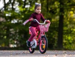 Amigo Magic Meisjesfiets - Kinderfiets 12 Inch - Wit -Fietsen Kortingswinkel 1200x917 11