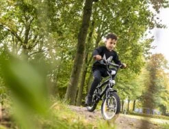 Amigo BMX Fun Jongensfiets - Kinderfiets 16 Inch - Zwart/Groen -Fietsen Kortingswinkel 1200x917 30