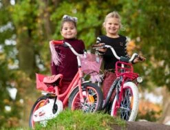Amigo Magic Meisjesfiets - Kinderfiets 12 Inch - Wit -Fietsen Kortingswinkel 1200x917 8
