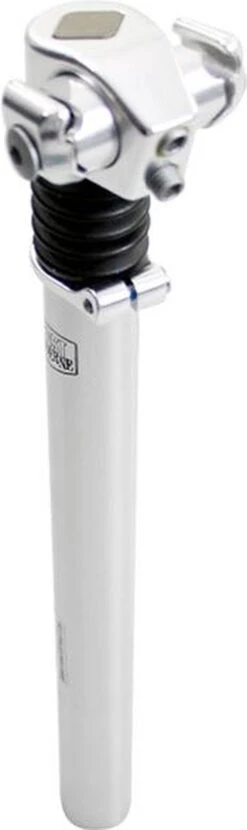 Zadelpen Verend 27,2 X 310 Mm Aluminium Zilver -Fietsen Kortingswinkel 357x1200 2