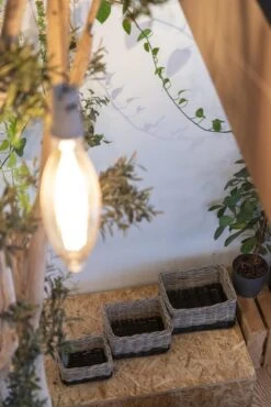 Fastrider Nero Rotan Fietsmand - Naturel - 26L - Handgemaakt 20 Fastrider Nero Rotan Fietsmand - Naturel - 26L - Handgemaakt -Fietsen Kortingswinkel 801x1200 4