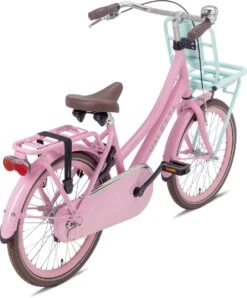 Valetta Cargo - Transportfiets - Meisjesfiets - 20 Inch - Mint Roze -Fietsen Kortingswinkel 994x1200 4